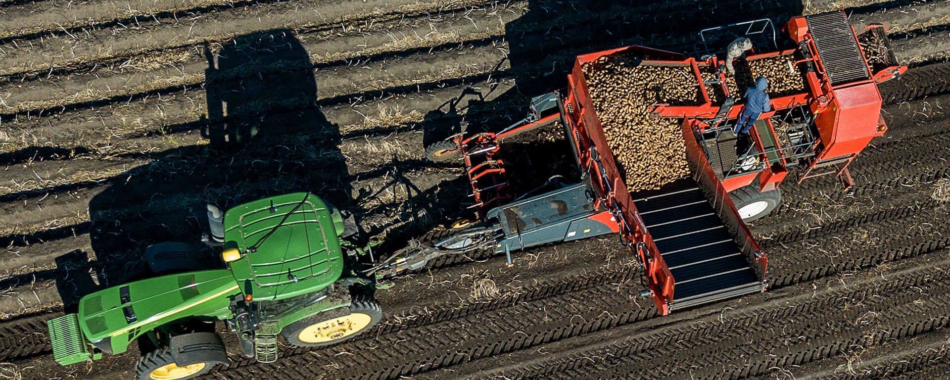 Уборка и переработка картофеля, архивное фото - Sputnik Таджикистан, 1920, 18.10.2021