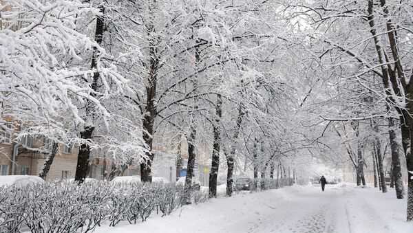 Снегопад, архивное фото - Sputnik Тоҷикистон
