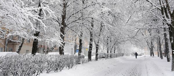 Снегопад, архивное фото - Sputnik Таджикистан
