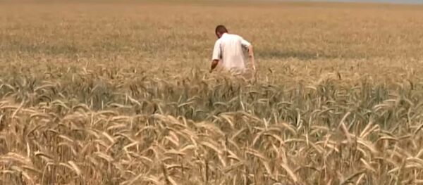 Мужчина вернулся с войны в Афганистане спустя 30 лет - Sputnik Таджикистан