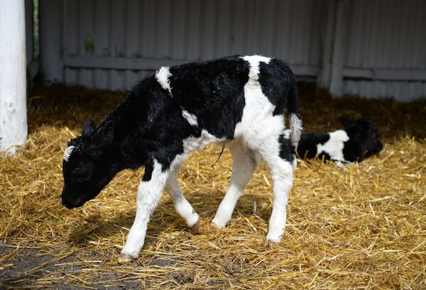 Какой сегодня праздник в Таджикистане и мире: 19 февраля Какой сегодня праздник в Таджикистане и мире: 19 февраля - Sputnik Таджикистан