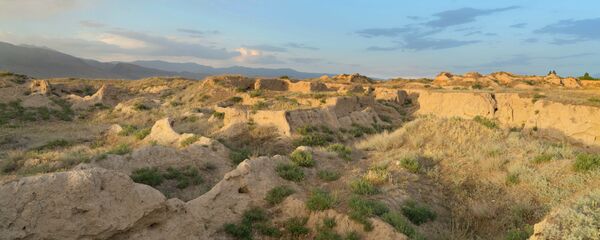 Раскопки древнего городища Пенджакент в Таджикистане - Sputnik Тоҷикистон