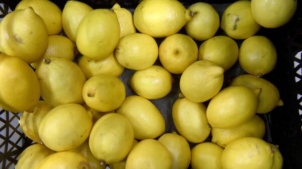 Лимоны, архивное фото - Sputnik Таджикистан
