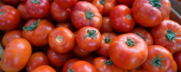 Помидоры, архивное фото - Sputnik Таджикистан