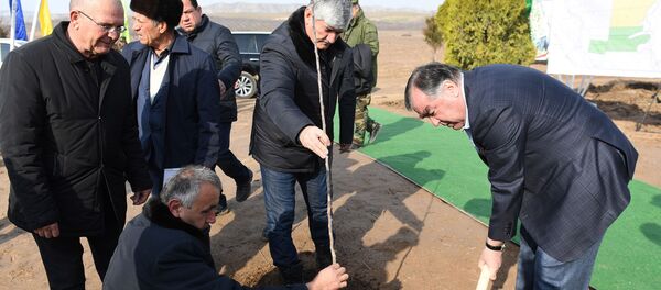 Ниҳолшинонии Эмомалӣ Раҳмон, раисиҷумҳури Тоҷикистон дар Данғара - Sputnik Тоҷикистон