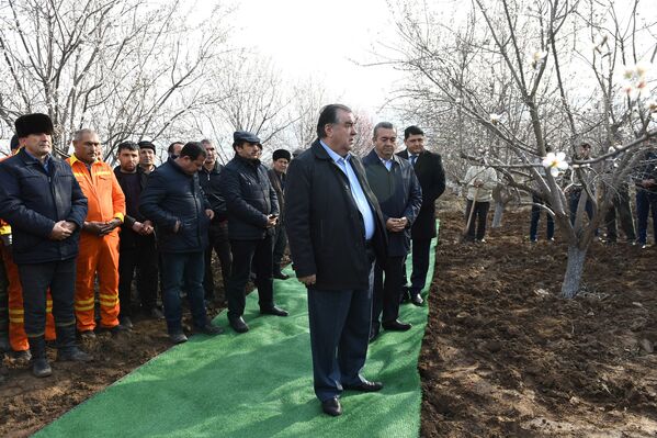 Эмомали Рахмон открыл традиционную посадку саженцев дангаринском районе Хатлонской области - Sputnik Таджикистан