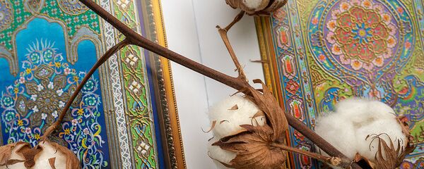 Хлопок на книге с иллюстрациями  - Sputnik Таджикистан