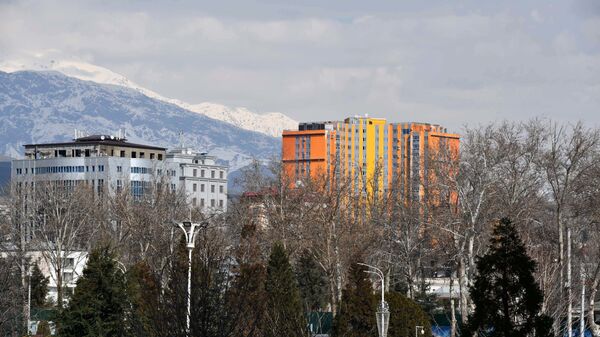 Город Душанбе, архивное фото - Sputnik Тоҷикистон