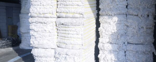 Хлопок, архивное фото - Sputnik Тоҷикистон