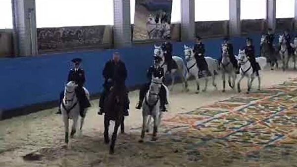 Путин прокатился на гнедом коне по кличке Уандервальс — видео - Sputnik Таджикистан