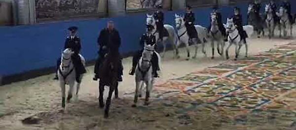 Путин прокатился на гнедом коне по кличке Уандервальс — видео - Sputnik Таджикистан