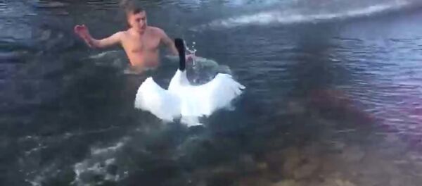 Ищи себе свое озеро: дикий лебедь напал на отдыхающего – видео - Sputnik Таджикистан