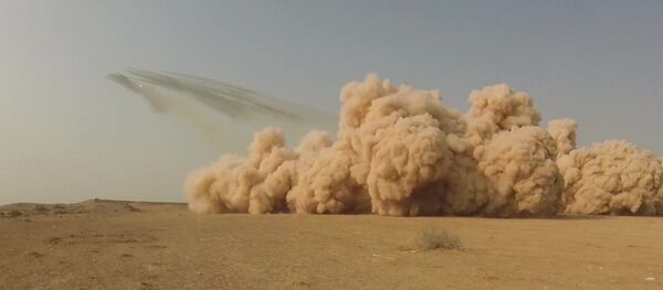 В Таджикистане артиллеристы РФ уничтожили из Града условного противника - Sputnik Таджикистан