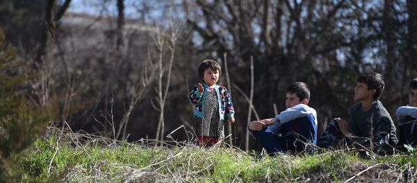 Маленькие дети сидят на траве в Душанбе, архивное фото Маленькие дети сидят на траве в Душанбе, архивное фото - Sputnik Тоҷикистон