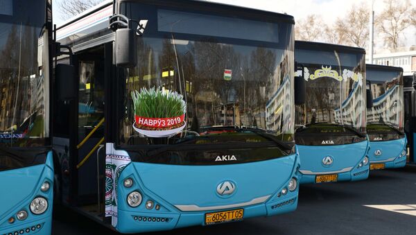 Автобусы в Душанбе, украшенные наклейками с символом Навруза - пророщенной пшеницей - Sputnik Таджикистан