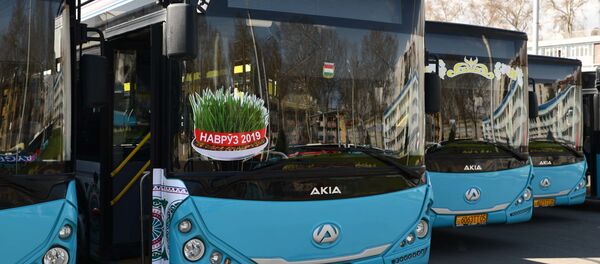 Автобусы в Душанбе, украшенные наклейками с символом Навруза - пророщенной пшеницей - Sputnik Таджикистан