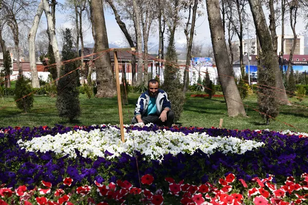 Ҳавои кишвар ҳам барои шинонидани гулу буттаҳо мусоид шудааст Ҳавои кишвар ҳам барои шинонидани гулу буттаҳо мусоид шудааст - Sputnik Тоҷикистон