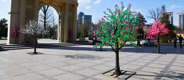 Светящиеся искусственные деревья в Душанбе - Sputnik Таджикистан