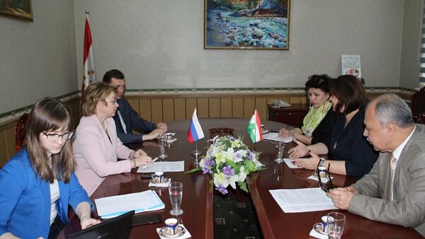 Встреча заместителей министров культуры РФ и Таджикистана  - Sputnik Тоҷикистон