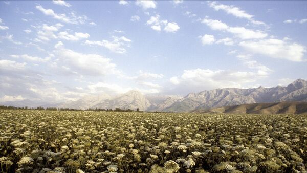 Ферганская долина в Узбекистане - Sputnik Таджикистан