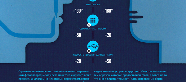 Все об особенностях человеческого глаза — инфографика Все об особенностях человеческого глаза — инфографика - Sputnik Таджикистан