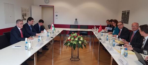 Машваратҳои сиёсӣ миёни вазоратҳои корҳои хориҷии Тоҷикистону Швейтсария - Sputnik Тоҷикистон