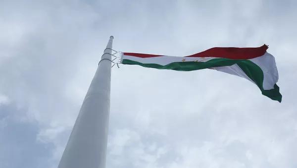 Государственный флаг Таджикистана - Sputnik Тоҷикистон