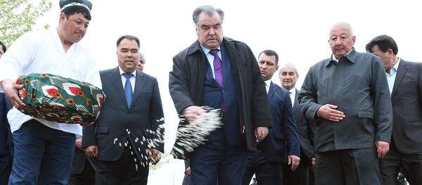 Эмомалӣ Раҳмон, раисиҷумҳури Тоҷикистон кишти пахта дар ноҳияи Спитаменро оғоз бахшид Эмомалӣ Раҳмон, раисиҷумҳури Тоҷикистон кишти пахта дар ноҳияи Спитаменро оғоз бахшид - Sputnik Тоҷикистон