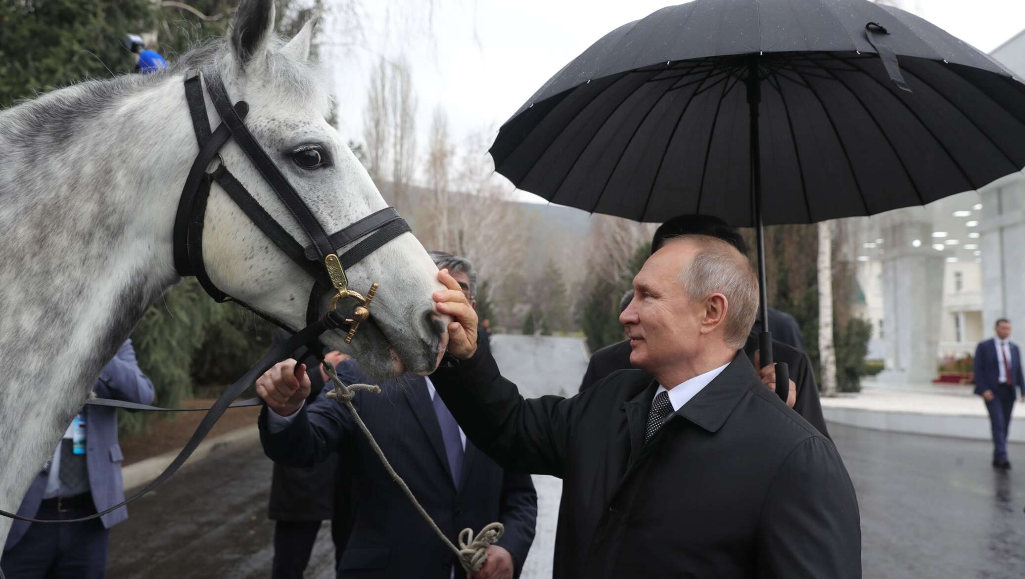 Фото путин на коне верхом