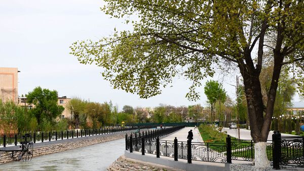 Благоустройство набережной канала Дамаши в Ташкенте - Sputnik Таджикистан