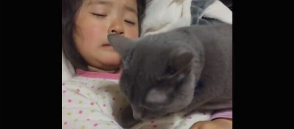 Не плачь, я с тобой - Sputnik Тоҷикистон