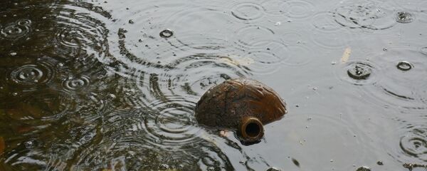 Лужа - Sputnik Таджикистан