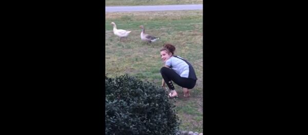 Видео с гусем - Sputnik Таджикистан