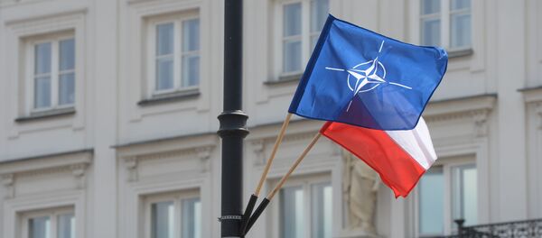 Флаги НАТО и Польши на одной из улиц в Варшаве, архивное фото - Sputnik Таджикистан