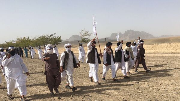 Члены террористического движения Талибан в Афганистане - Sputnik Таджикистан