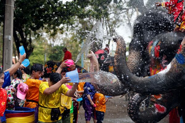 Люди и слоны обливаются водой во время празднования тайского Нового года - Sputnik Таджикистан