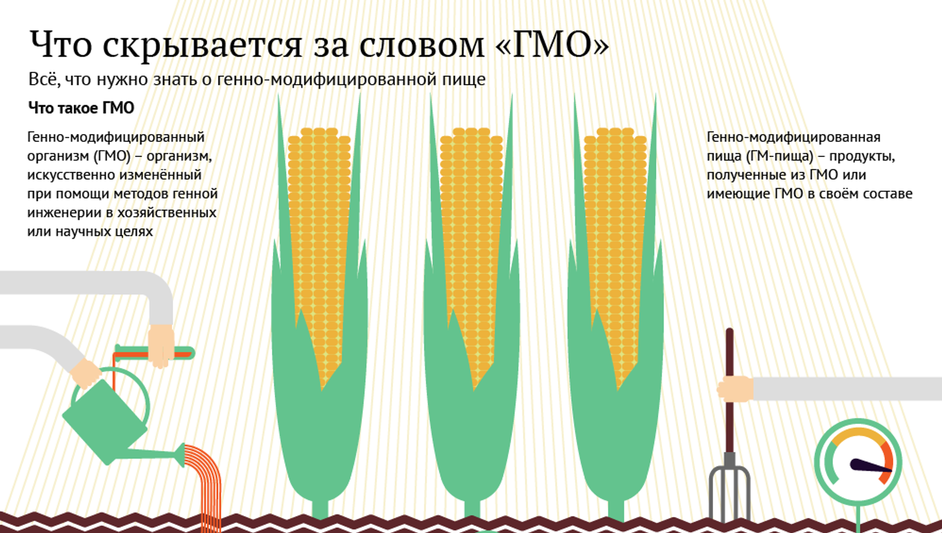 Протокол гмо