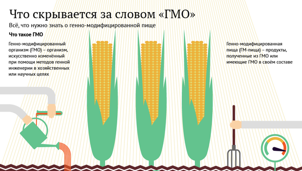 Что такое ГМО - Sputnik Таджикистан