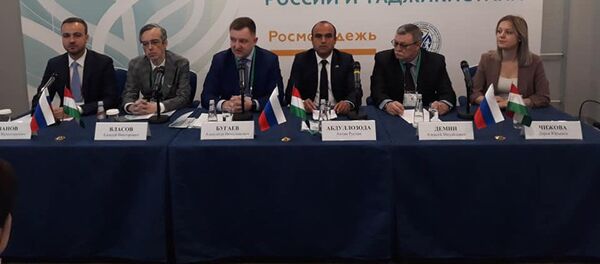 Форум России и Таджикистана  - Sputnik Тоҷикистон