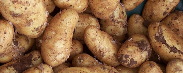 Картофель - Sputnik Тоҷикистон