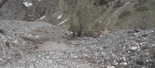 Тахрибкории сел дар истироҳатгоҳи кӯдаконаи ВУД Тоҷикистон дар Варзоб - Sputnik Тоҷикистон