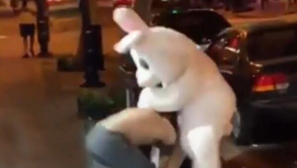 Флоридец в костюме пасхального зайца устроил драку на улице - Sputnik Таджикистан