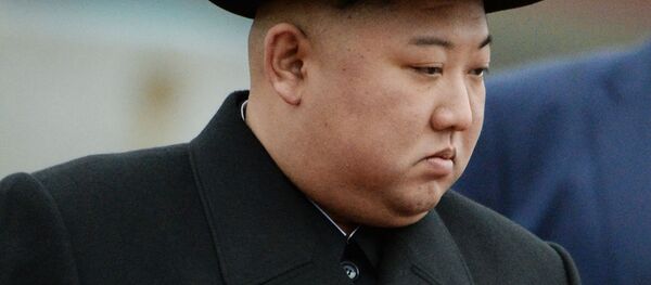 Лидер КНДР Ким Чен Ын на торжественной церемонии встречи во Владивостоке - Sputnik Таджикистан
