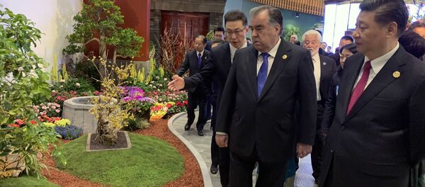 Президент Республики Таджикистан Эмомали Рахмон посетил Международную выставку садоводства в Пекине ЭКСПО-2019 - Sputnik Тоҷикистон