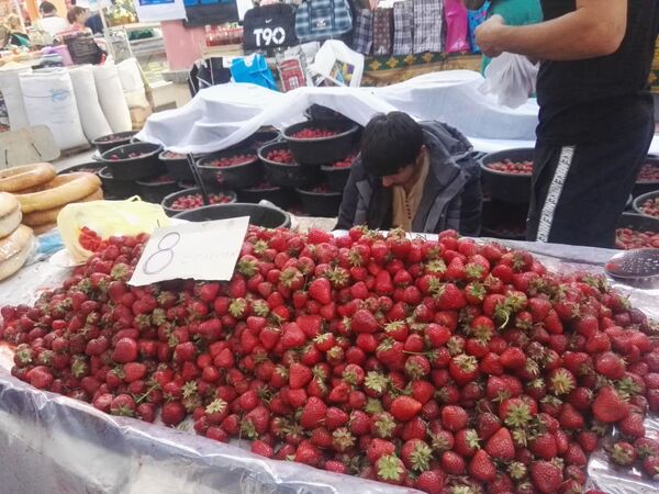 Клубника ё балои ҷон: чаро дар Хуҷанд 9 тонна қулфинайро гӯрониданд Клубника ё балои ҷон: чаро дар Хуҷанд 9 тонна қулфинайро гӯрониданд - Sputnik Тоҷикистон