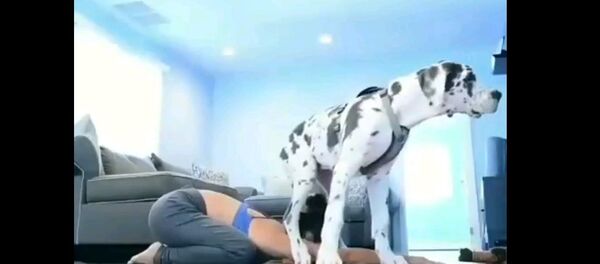 Когда решил заняться спортом, но у тебя живет огромный дог - видео - Sputnik Таджикистан