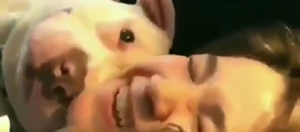 Просыпайся хозяйка: такой поцелуй разбудит любую спящую красавицу - видео - Sputnik Таджикистан