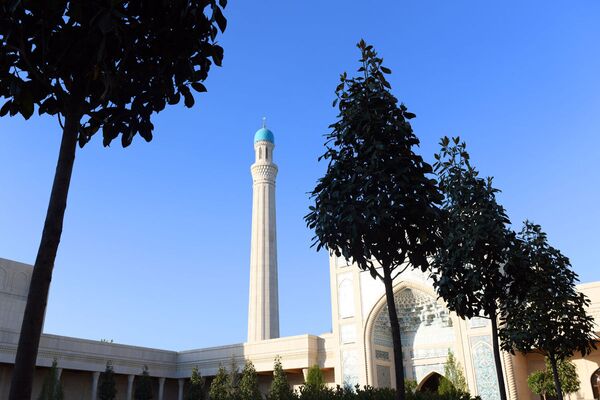 Мечеть Шейха Мухаммада Садыка Мухаммада Юсуфа с сада - Sputnik Таджикистан