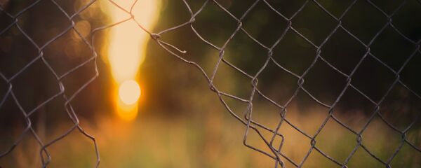 Поврежденная проволочная сетка  - Sputnik Таджикистан