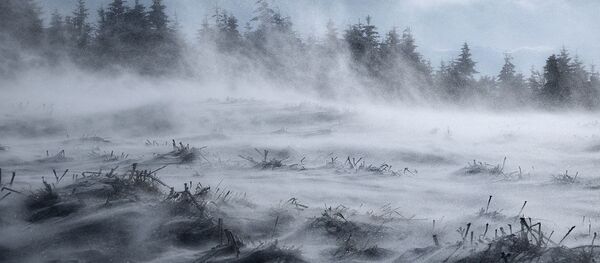 Суровая зима, архивное фото - Sputnik Тоҷикистон